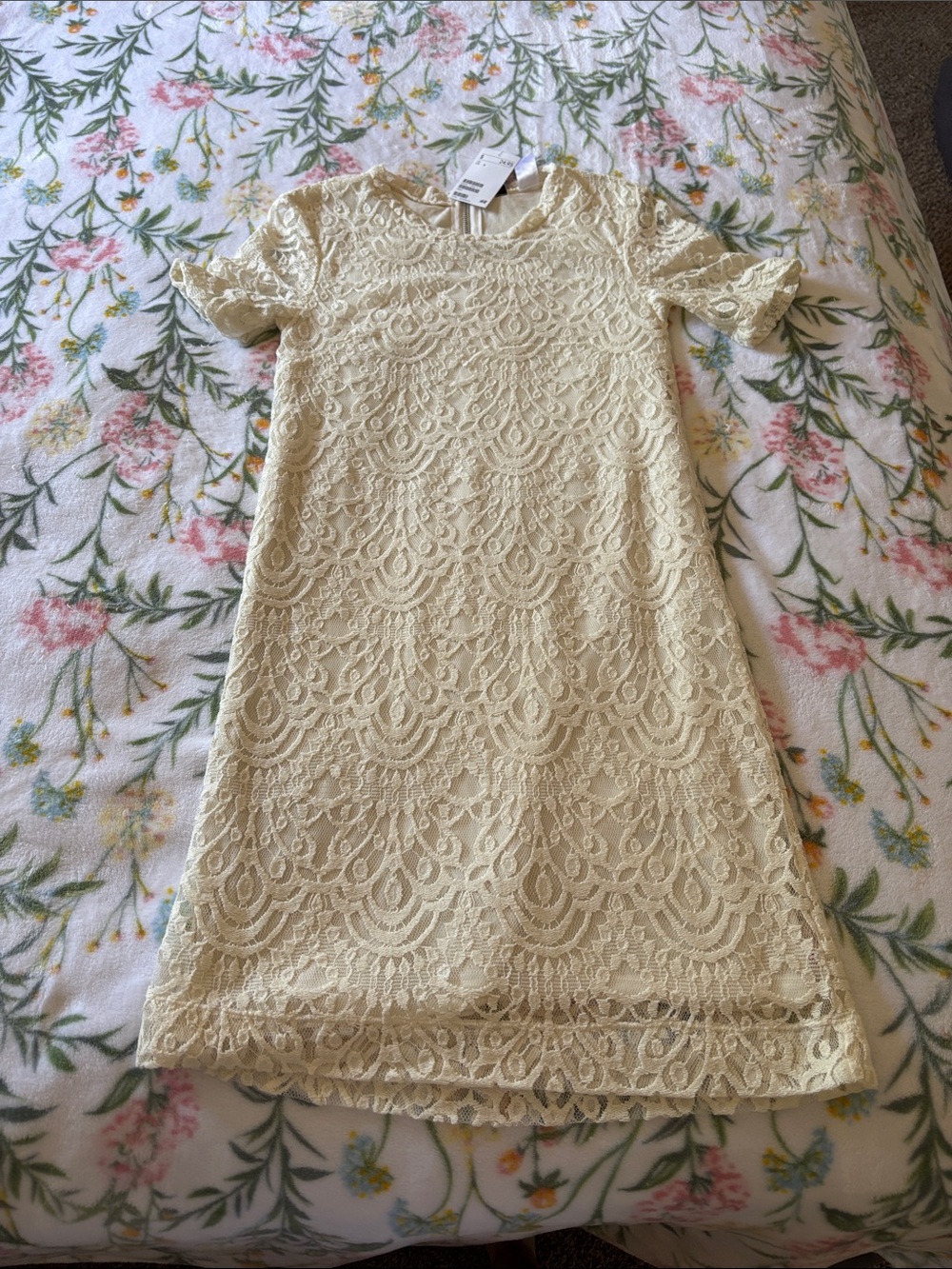 NWT Lacey cream H&M dress